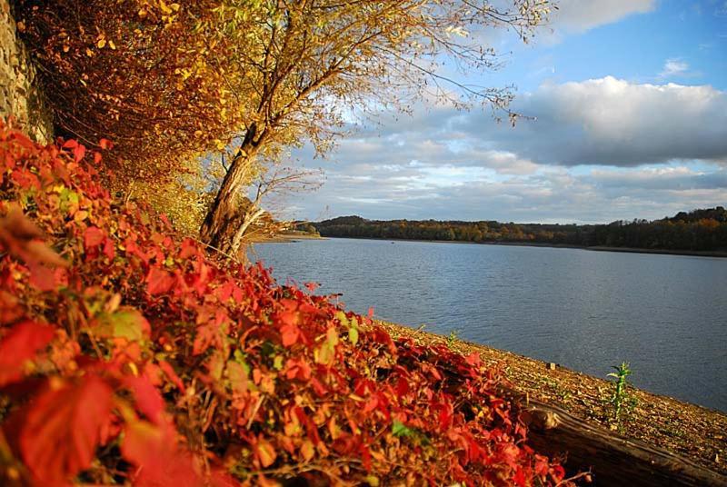 Maison Bord De Lac De Charmes Bannes  외부 사진